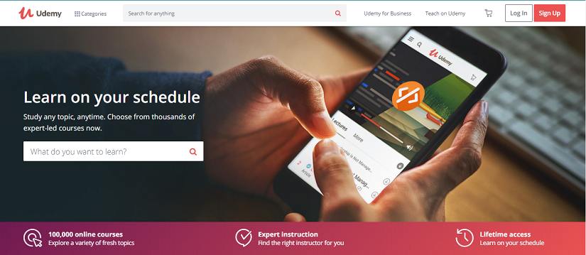 Udemy website